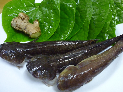 Nguyên liệu cần chuẩn bị cho món canh cá bớp nấu lá lốt